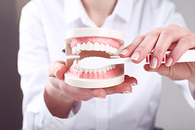 A person holding a model dental mouthpiece with teeth.